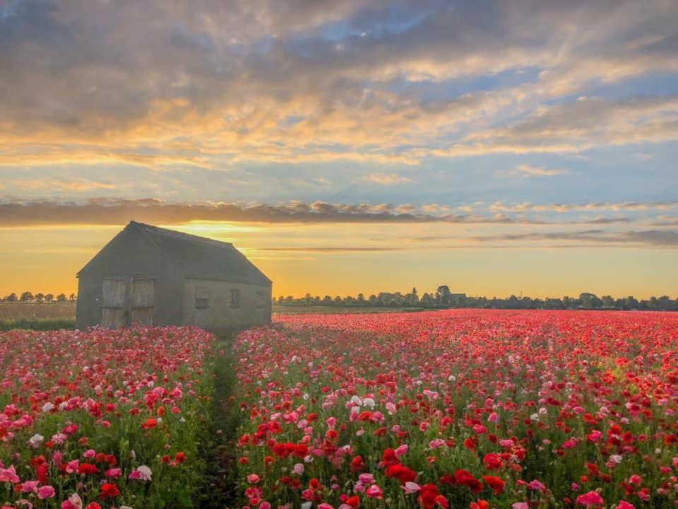 Huisje Vogelenzang Zeeland Синт-Анналанд Экстерьер фото