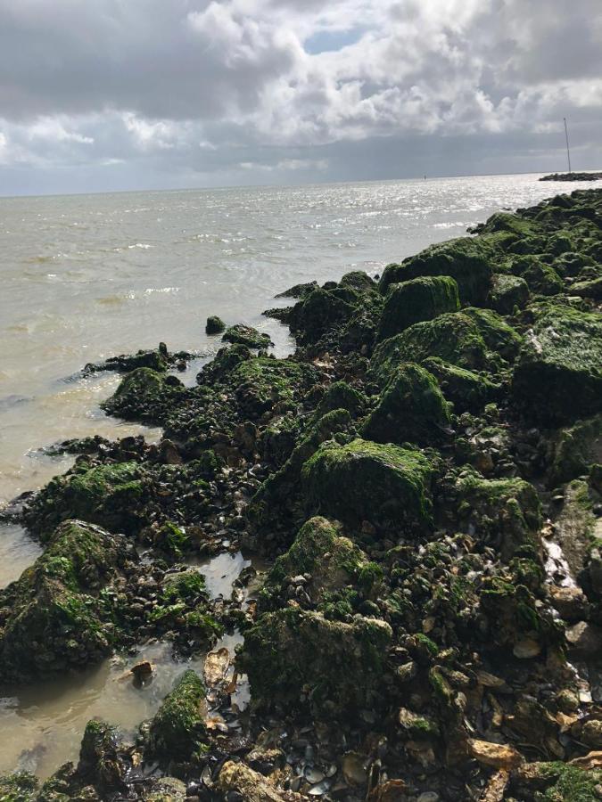 Huisje Vogelenzang Zeeland Синт-Анналанд Экстерьер фото
